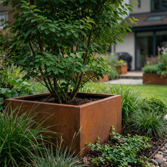Jardinière carrée en acier Corten avec arbuste dans un jardin résidentiel